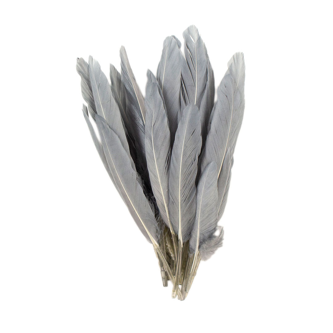 Duck Cosse Feathers - 3 - 6’’-Silver - Feathers