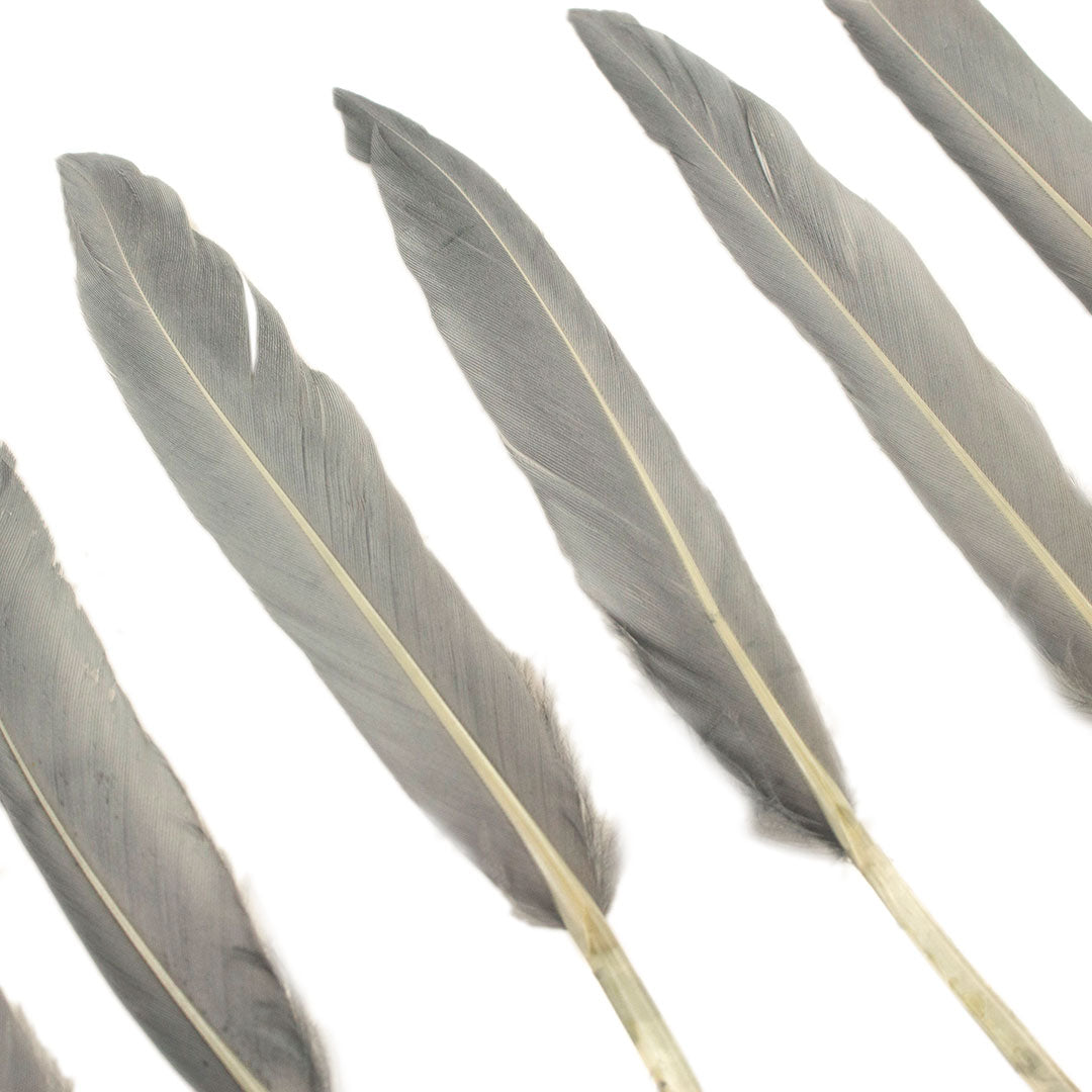 Duck Cosse Feathers - 3 - 6’’-Silver - Feathers