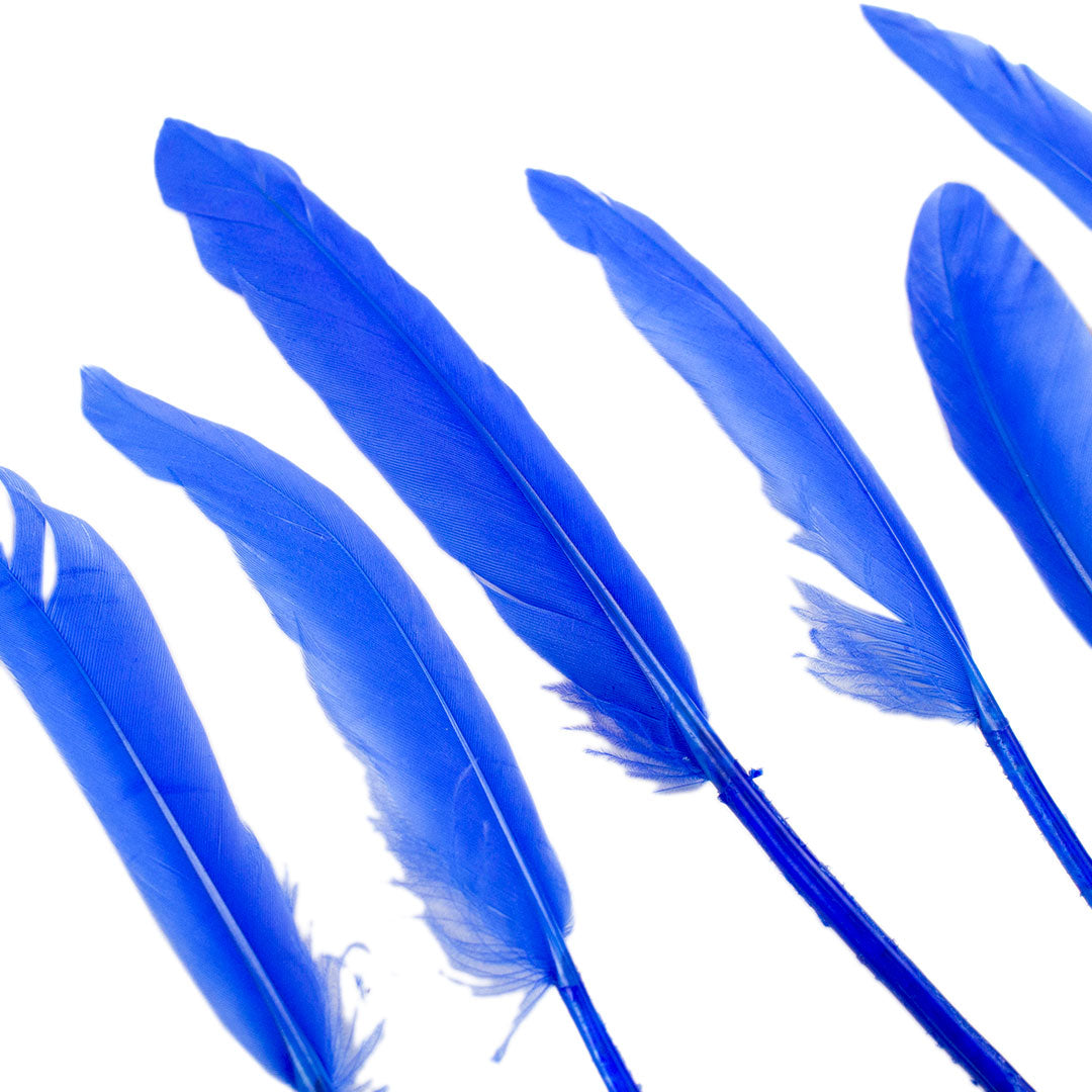 Duck Cosse Feathers - 3 - 6’’-Sky - Feathers