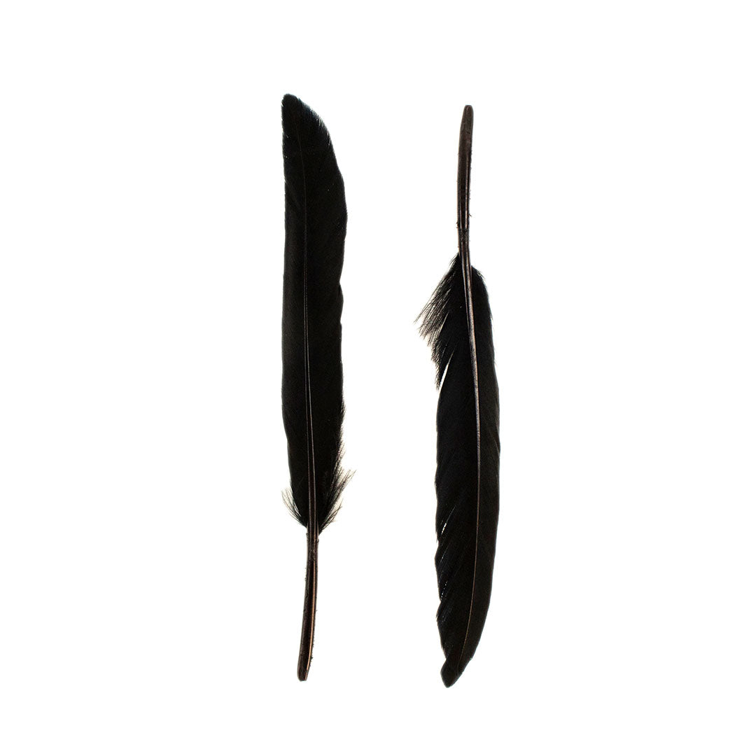 Duck Cosse Feathers - Black - Feathers