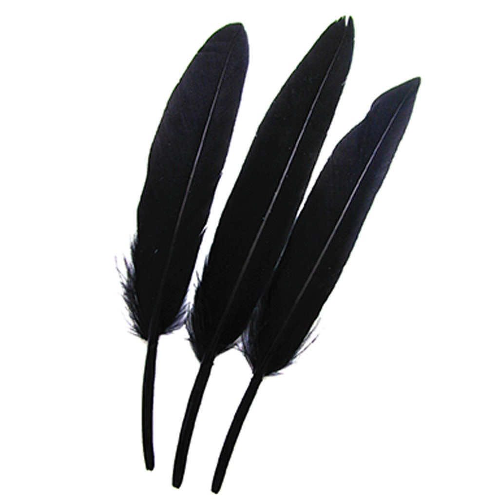 Duck Cosse Feathers - Black - Feathers