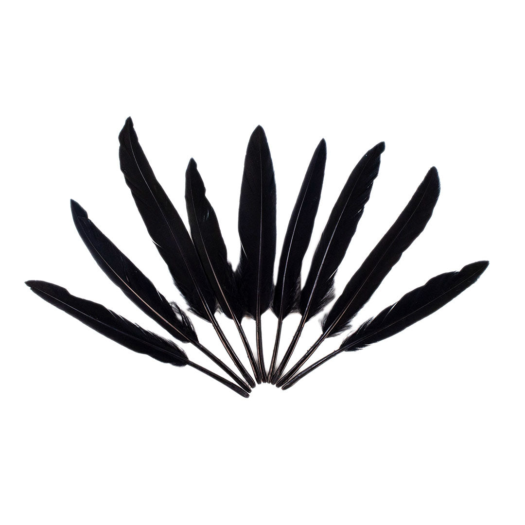 Duck Cosse Feathers - Black - Feathers