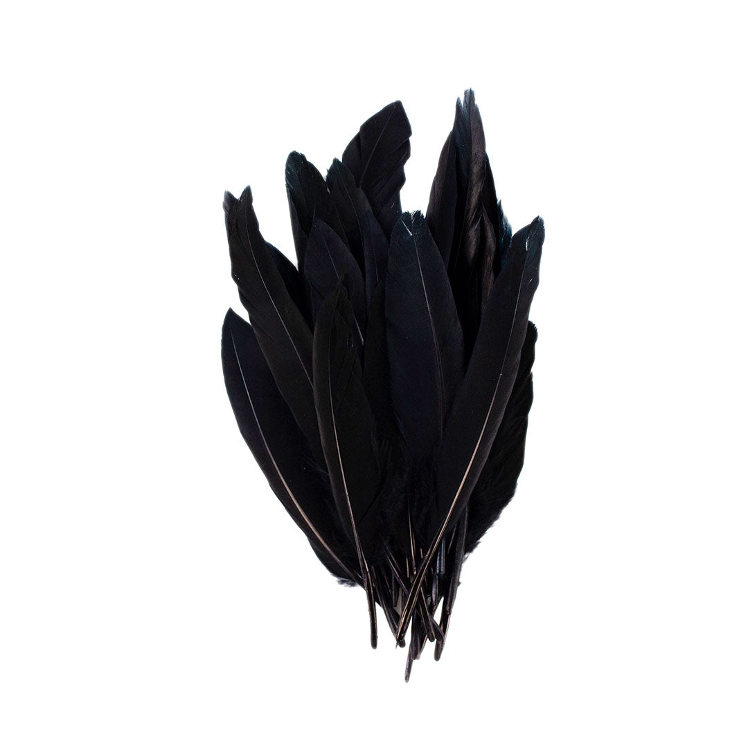 Duck Cosse Feathers - Black - Feathers