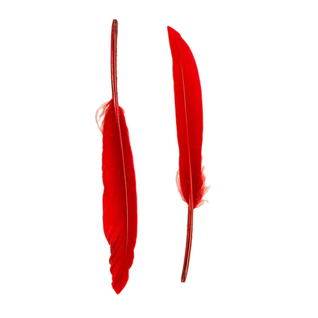 Duck Cosse Feathers - Red - Feathers