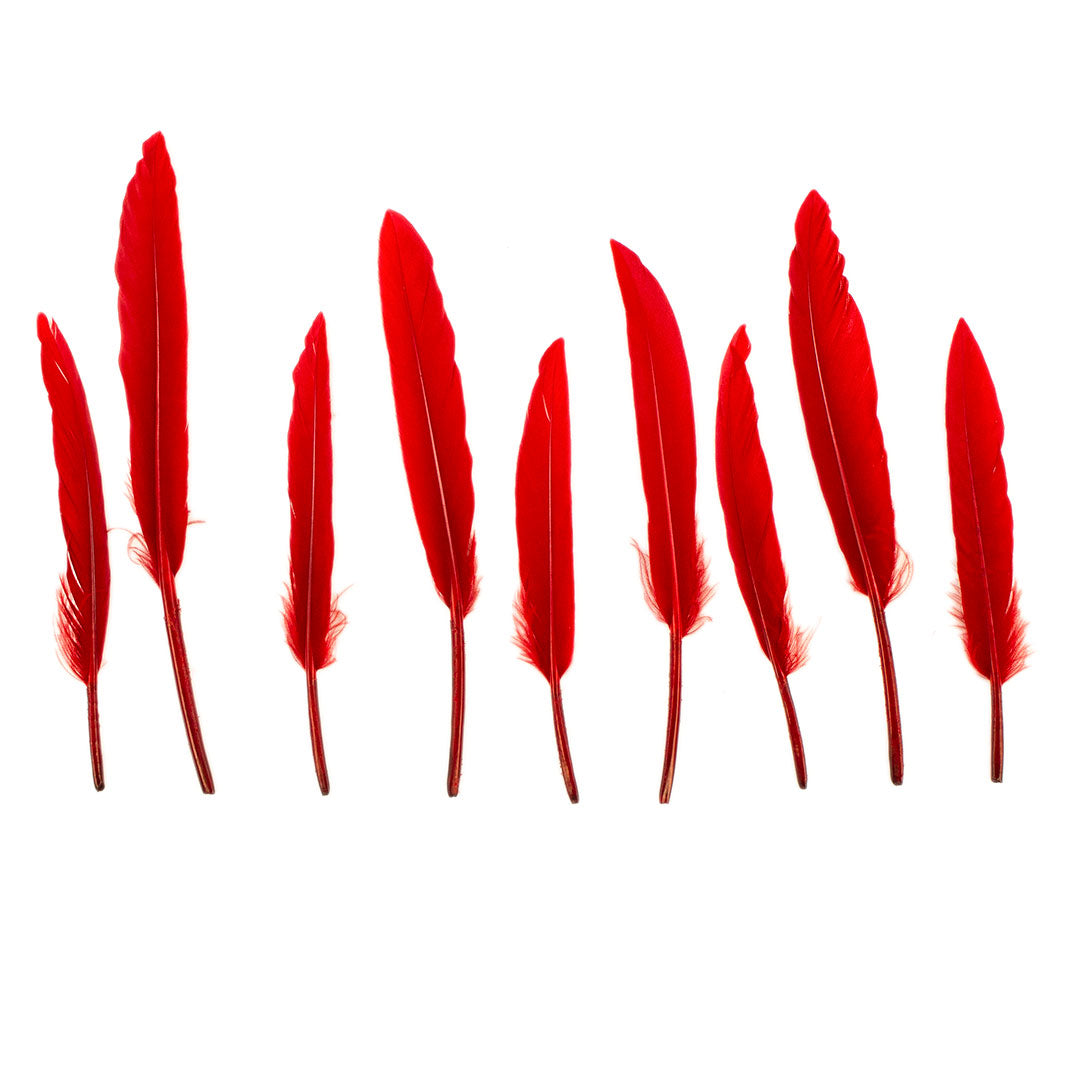 Duck Cosse Feathers - Red - Feathers