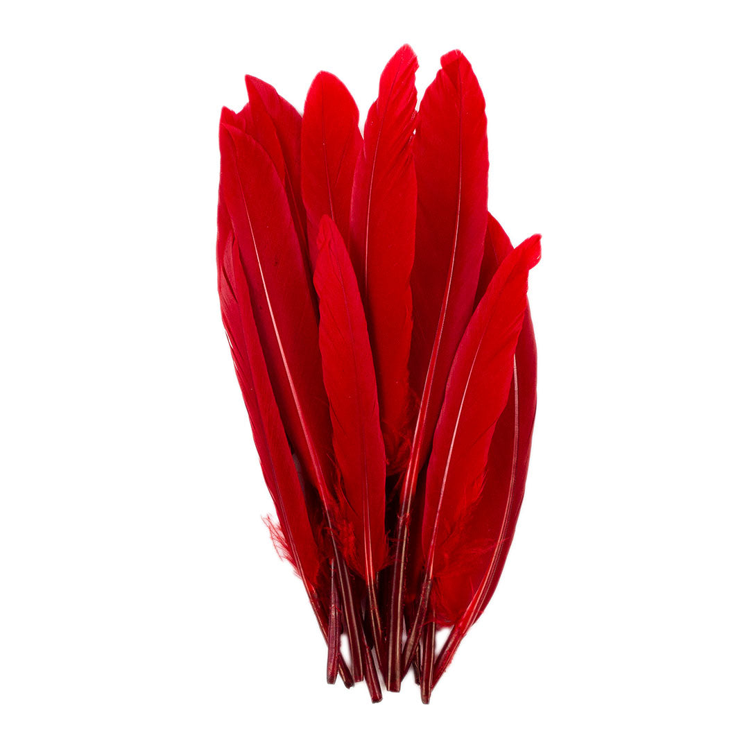 Duck Cosse Feathers - Red - Feathers