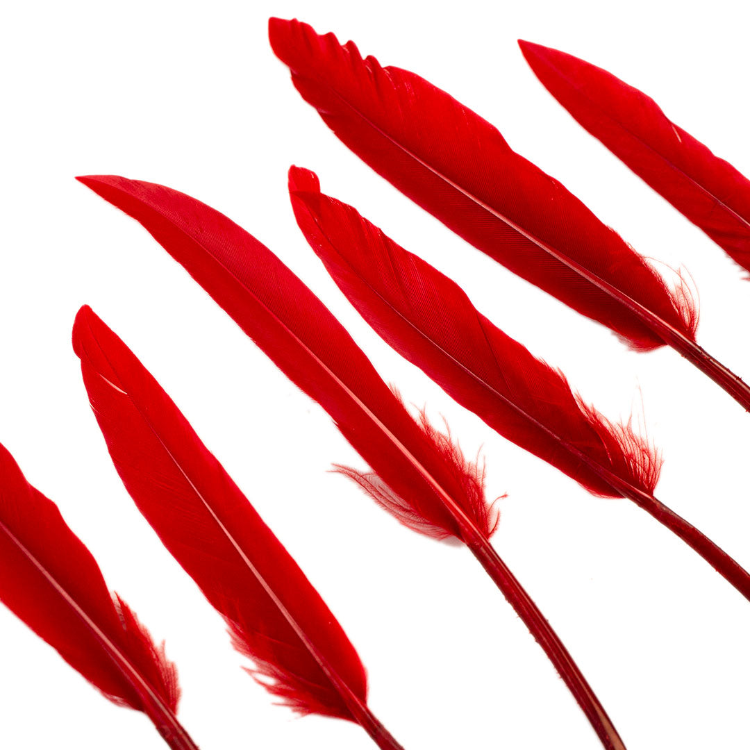 Duck Cosse Feathers - Red - Feathers