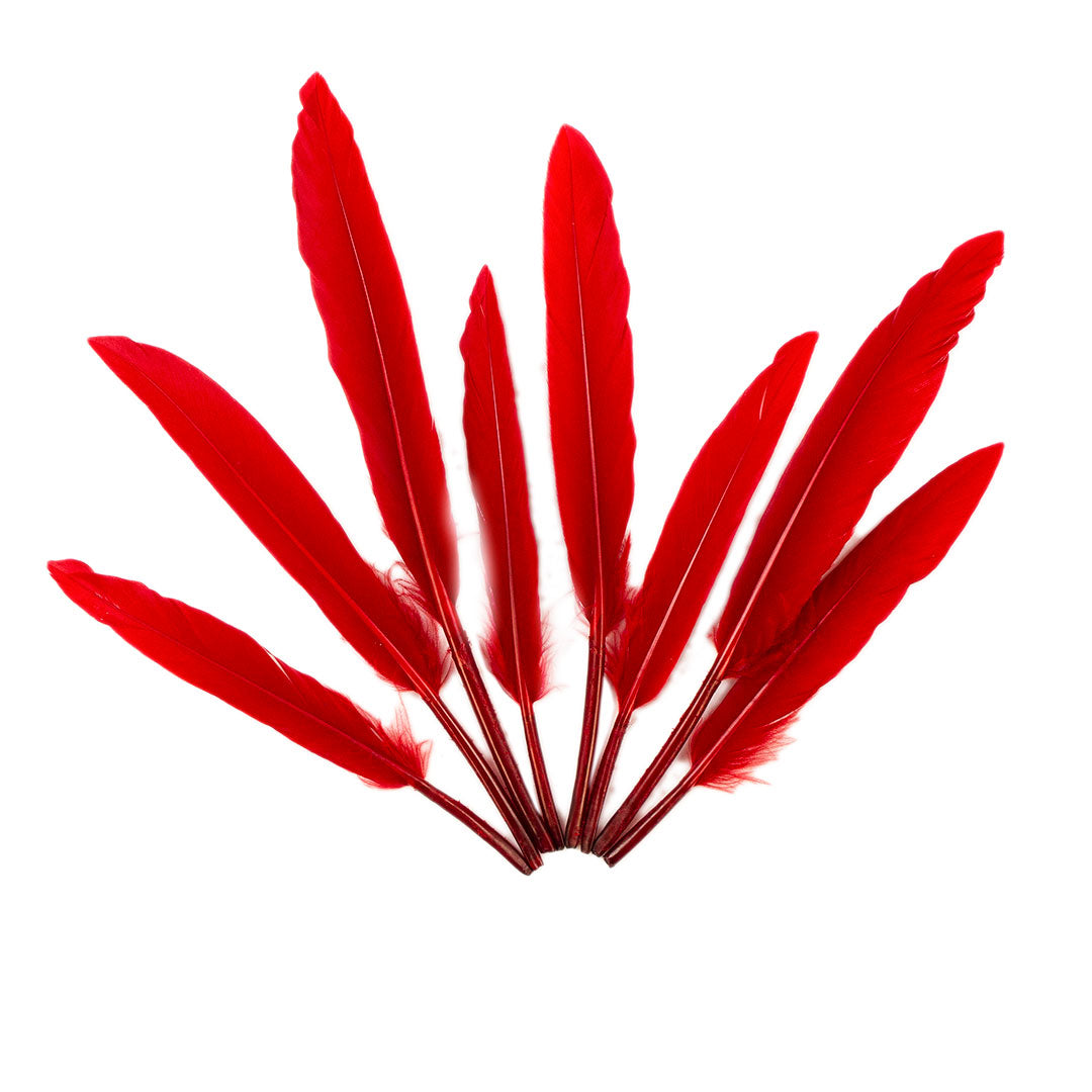 Duck Cosse Feathers - Red - Feathers