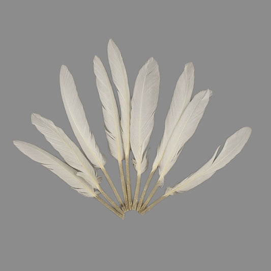 Duck Cosse Feathers - White - Feathers