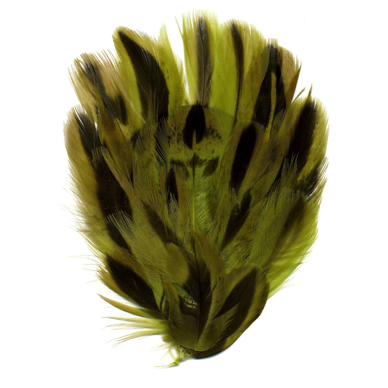 Duck Plumage Feather Pad - Lime - Feathers