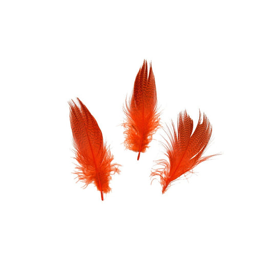 Duck Plumage Mallard Feathers - Hot Orange - Feathers