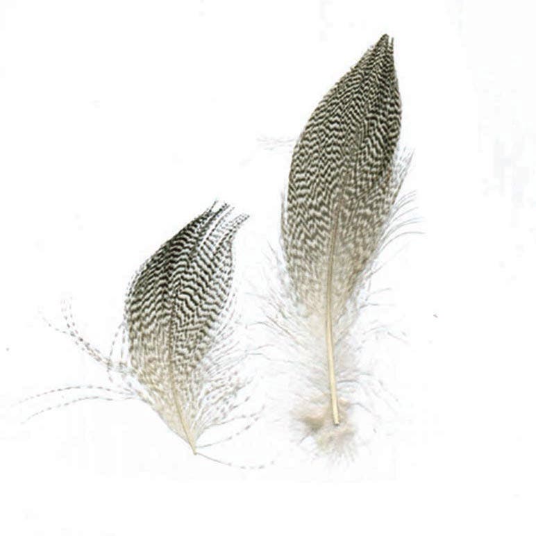 Duck Plumage Mallard Feathers - Natural - Feathers