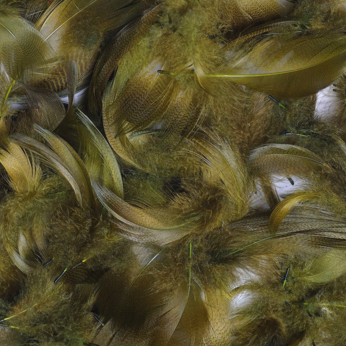 Duck Plumage Mallard Feathers - Olive - Feathers