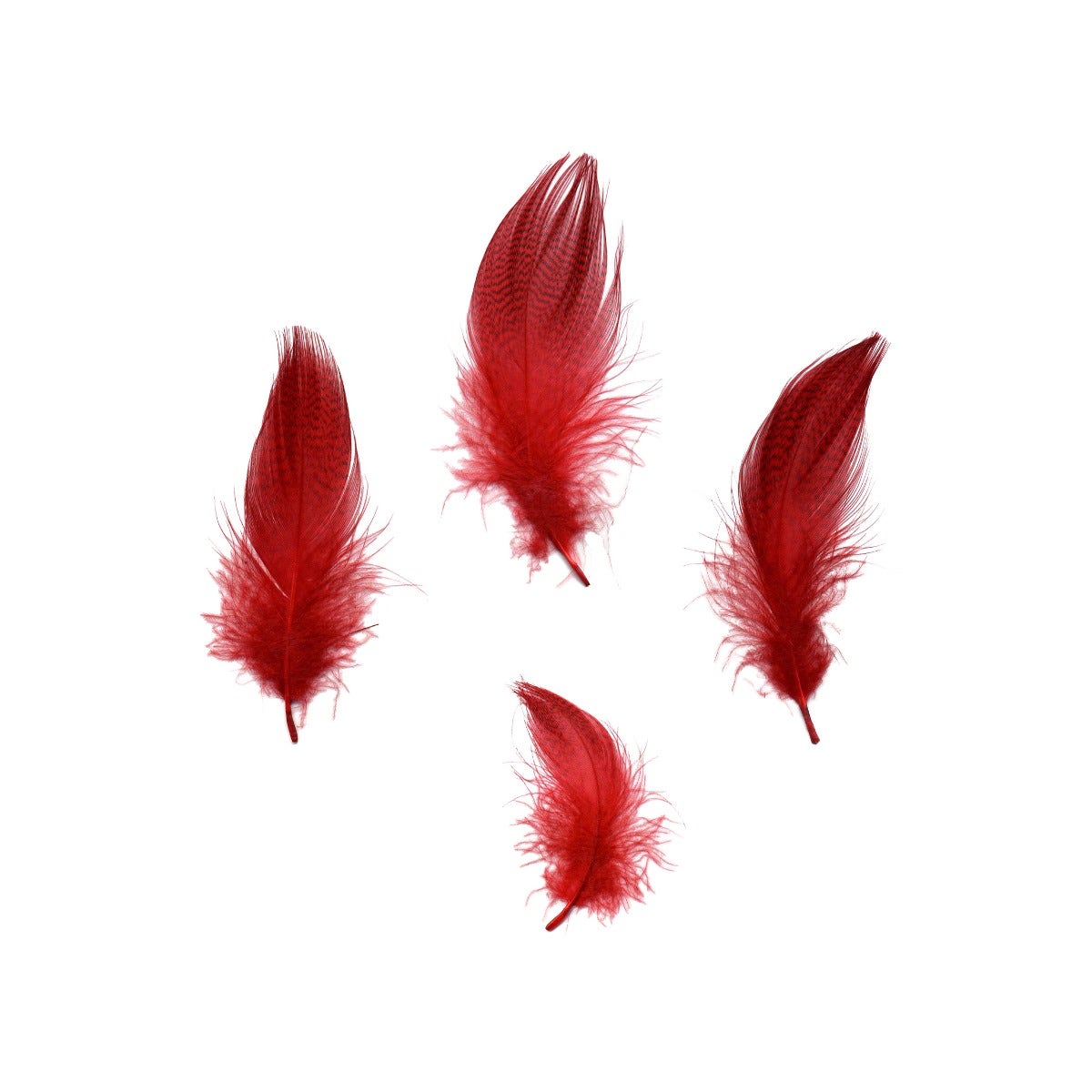 Duck Plumage Mallard Feathers - Red - Feathers