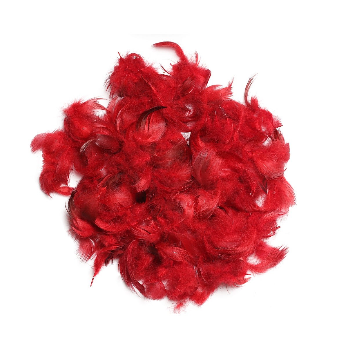 Duck Plumage Mallard Feathers - Red - Feathers