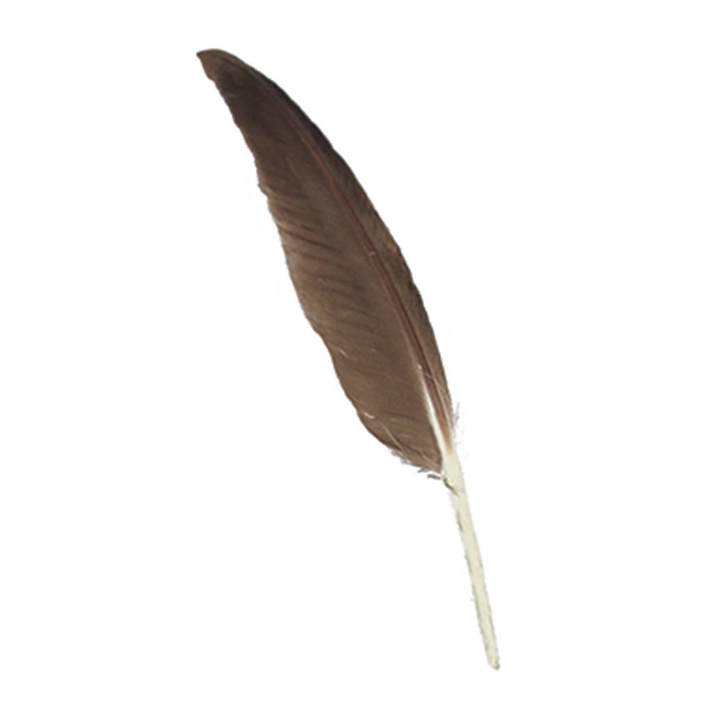 Duck Pointer Feathers - 5’’ - 9’’ - Natural Grey - White - Feathers