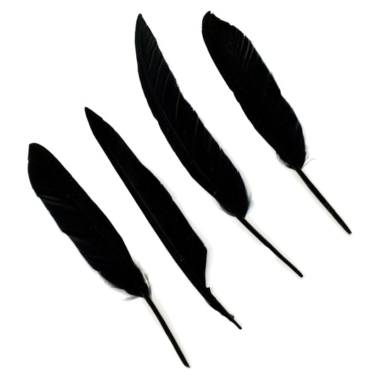 Duck Pointer Feathers - Black - Feathers