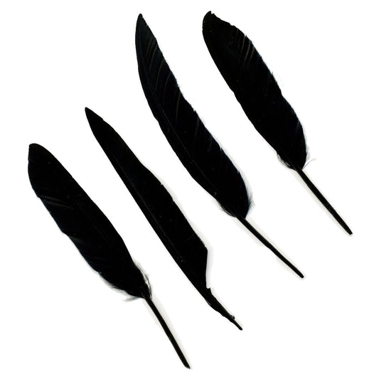 Duck Pointers 200pcs 5-9 inch - Black - Feathers