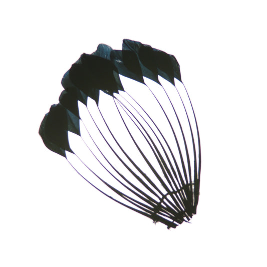 Duck Stripped Center Fan Trim - Black - Feathers