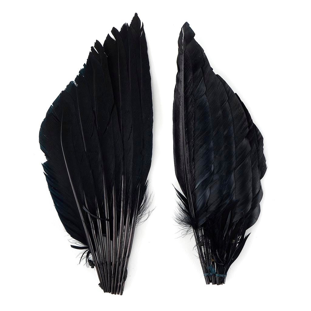 Duck Wing Fan Trim - Black - Feathers