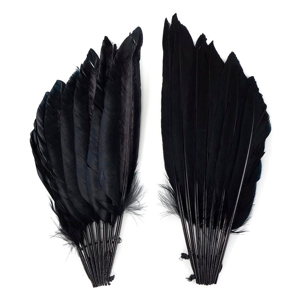 Duck Wing Fan Trim - Black - Feathers