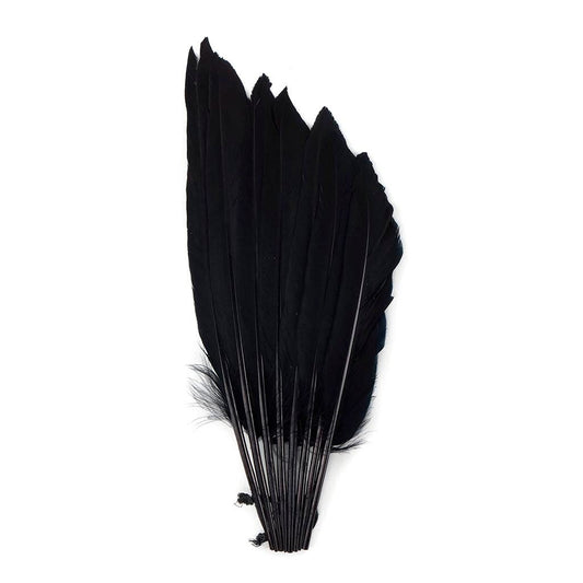 Duck Wing Fan Trim - Black - Feathers