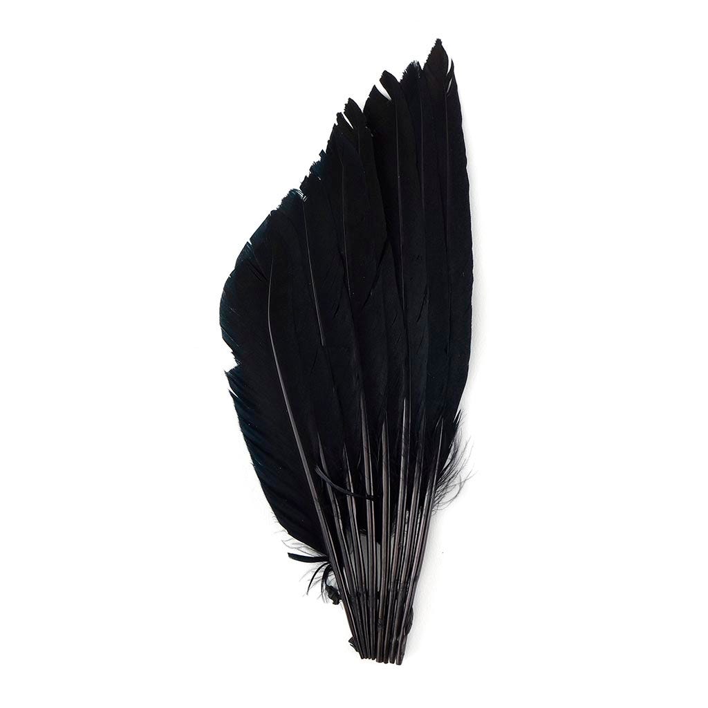 Duck Wing Fan Trim - Black - Feathers