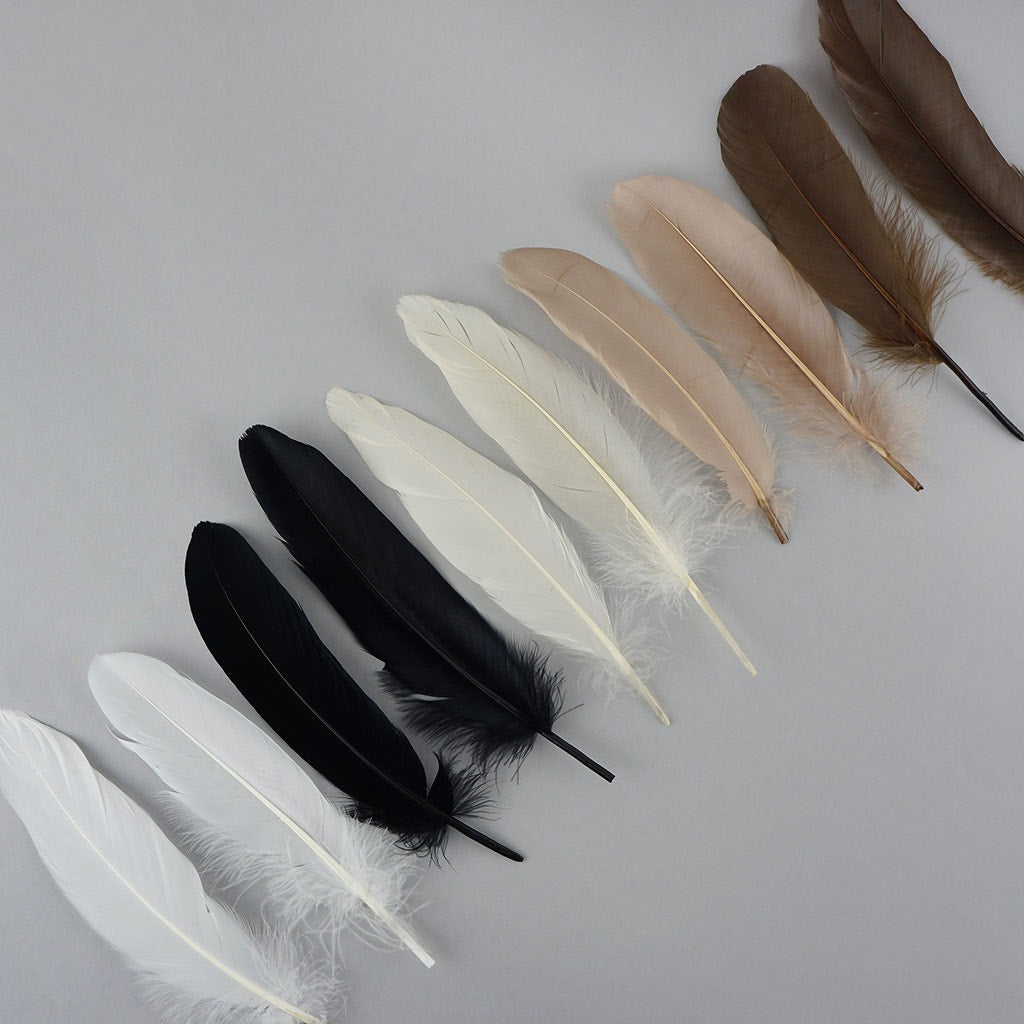 Dyed Goose Pallet Feathers - Neutral Mix - Feathers