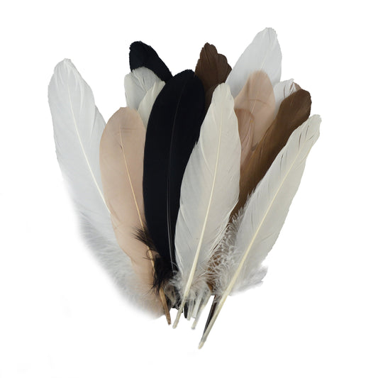 Dyed Goose Pallet Feathers - Neutral Mix - Feathers