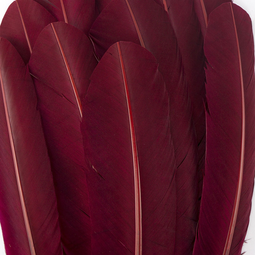 Dyed Turkey Quill Feathers - Burgundy - Feathers