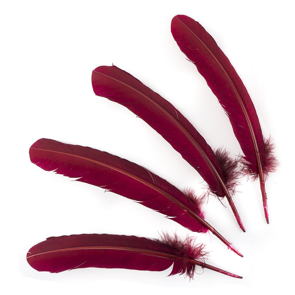 Dyed Turkey Quill Feathers - Burgundy - Feathers