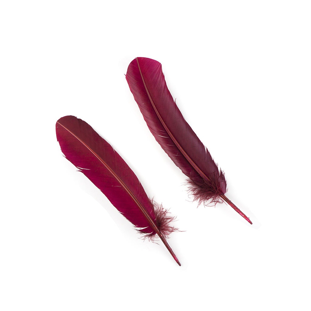 Dyed Turkey Quill Feathers - Burgundy - Feathers