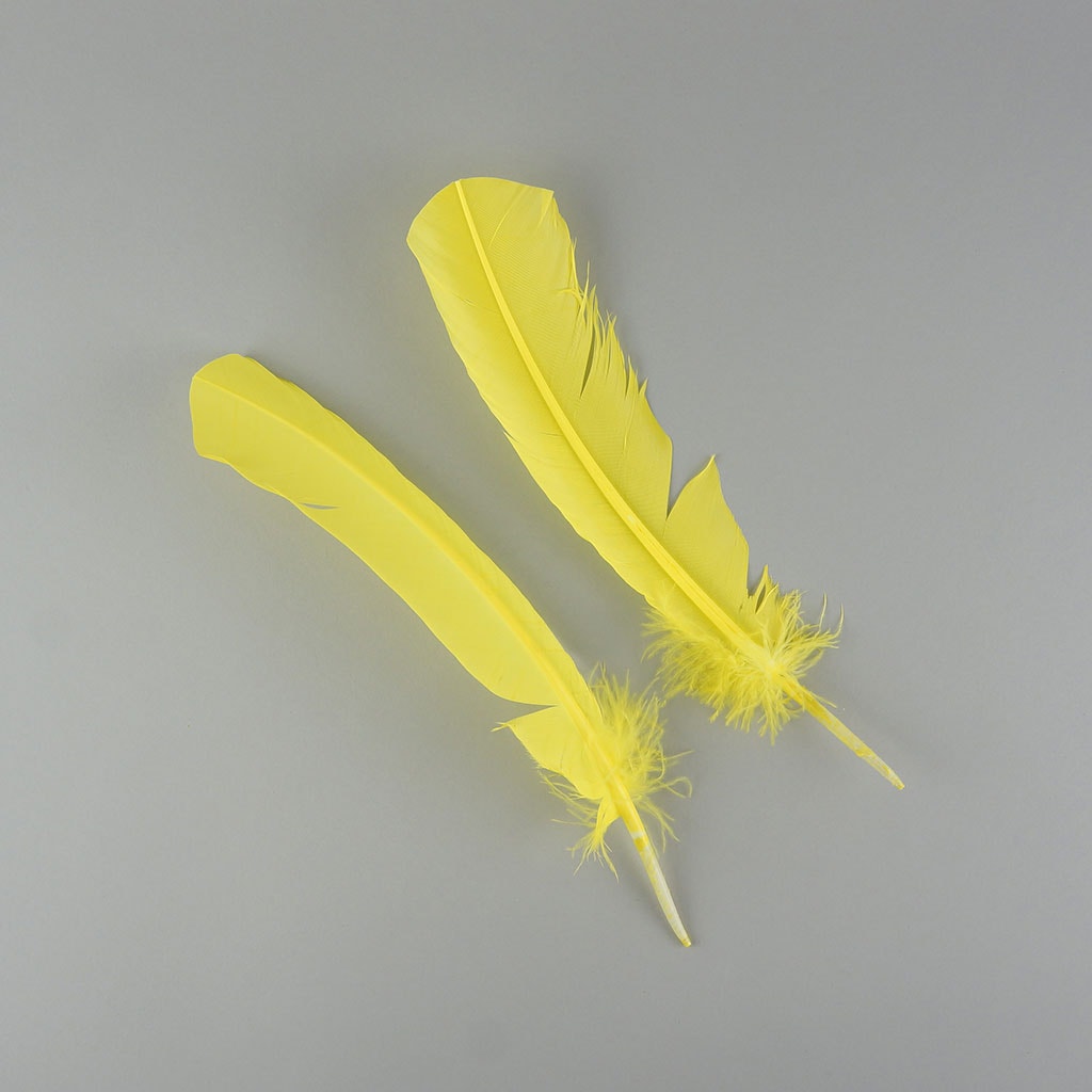 Dyed Turkey Quill Feathers - Fluorescent Yellow - Feathers