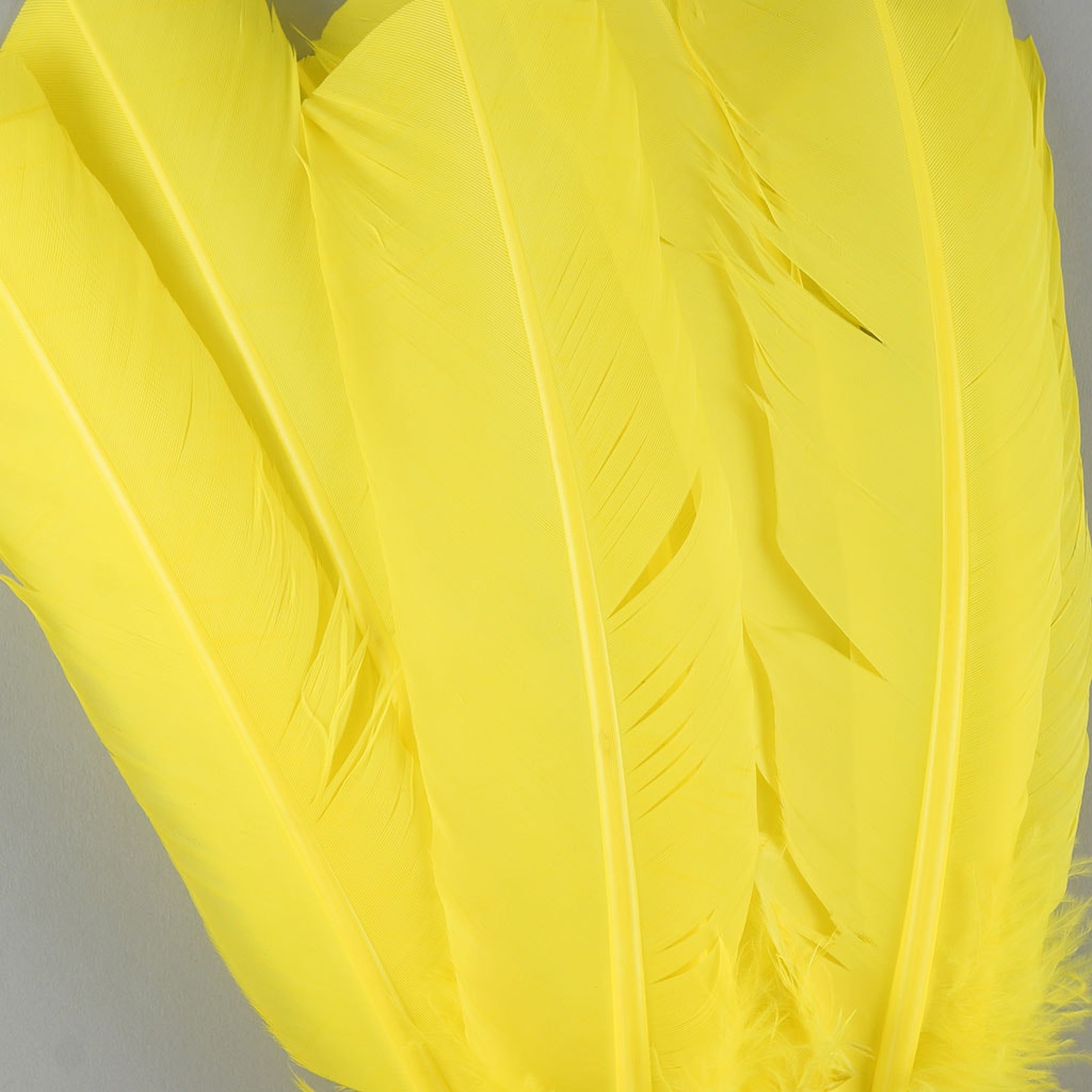 Dyed Turkey Quill Feathers - Fluorescent Yellow - Feathers