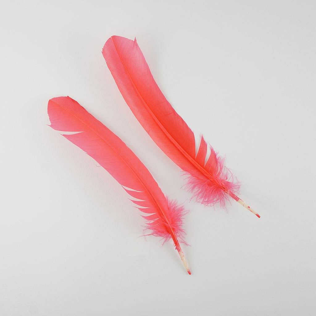 Dyed Turkey Quill Feathers -Hot Orange - Feathers