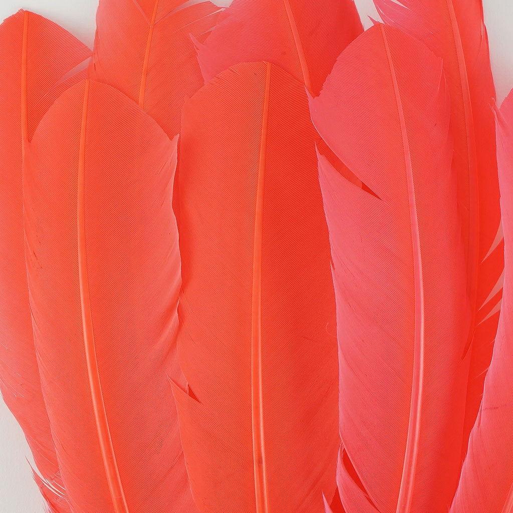 Dyed Turkey Quill Feathers -Hot Orange - Feathers