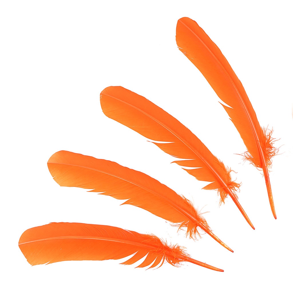 Dyed Turkey Quill Feathers - Orange - Feathers