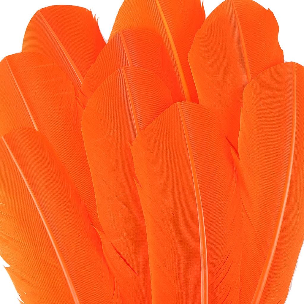 Dyed Turkey Quill Feathers - Orange - Feathers