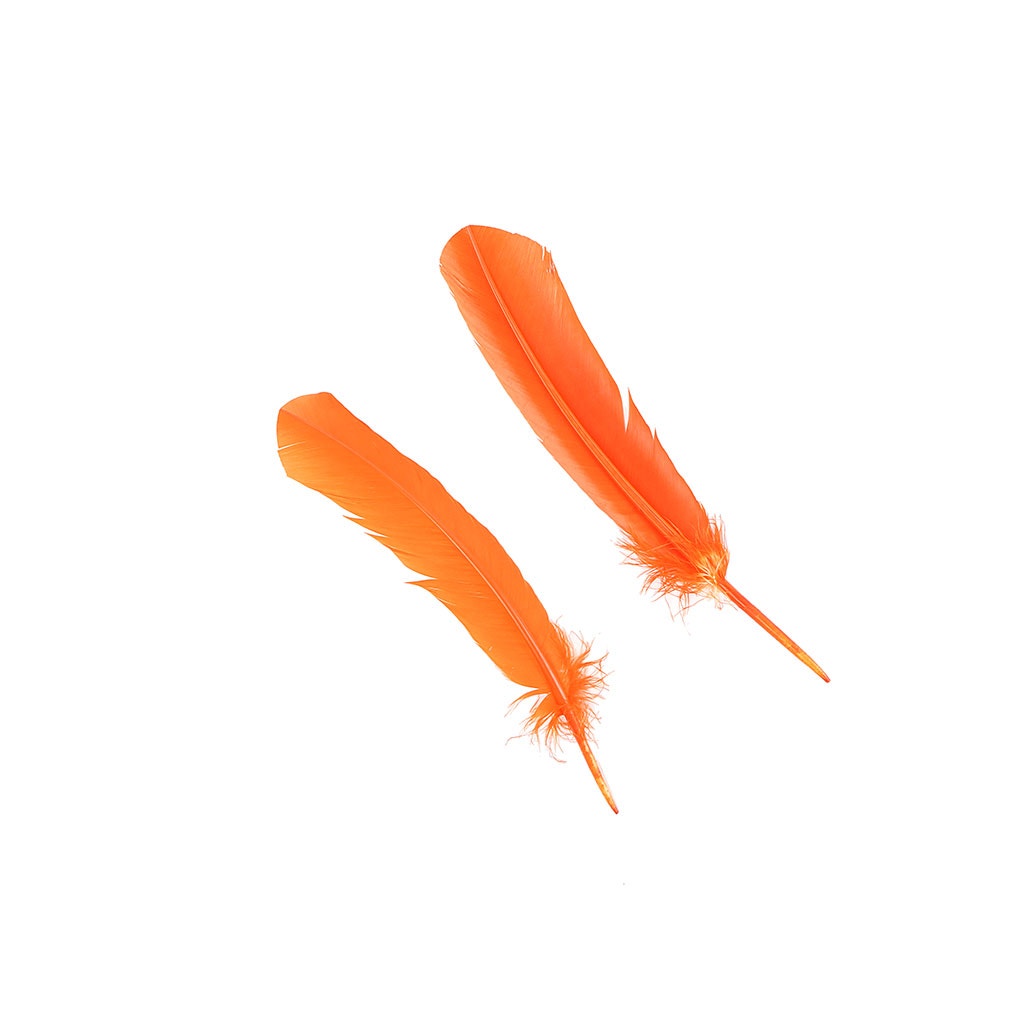 Dyed Turkey Quill Feathers - Orange - Feathers