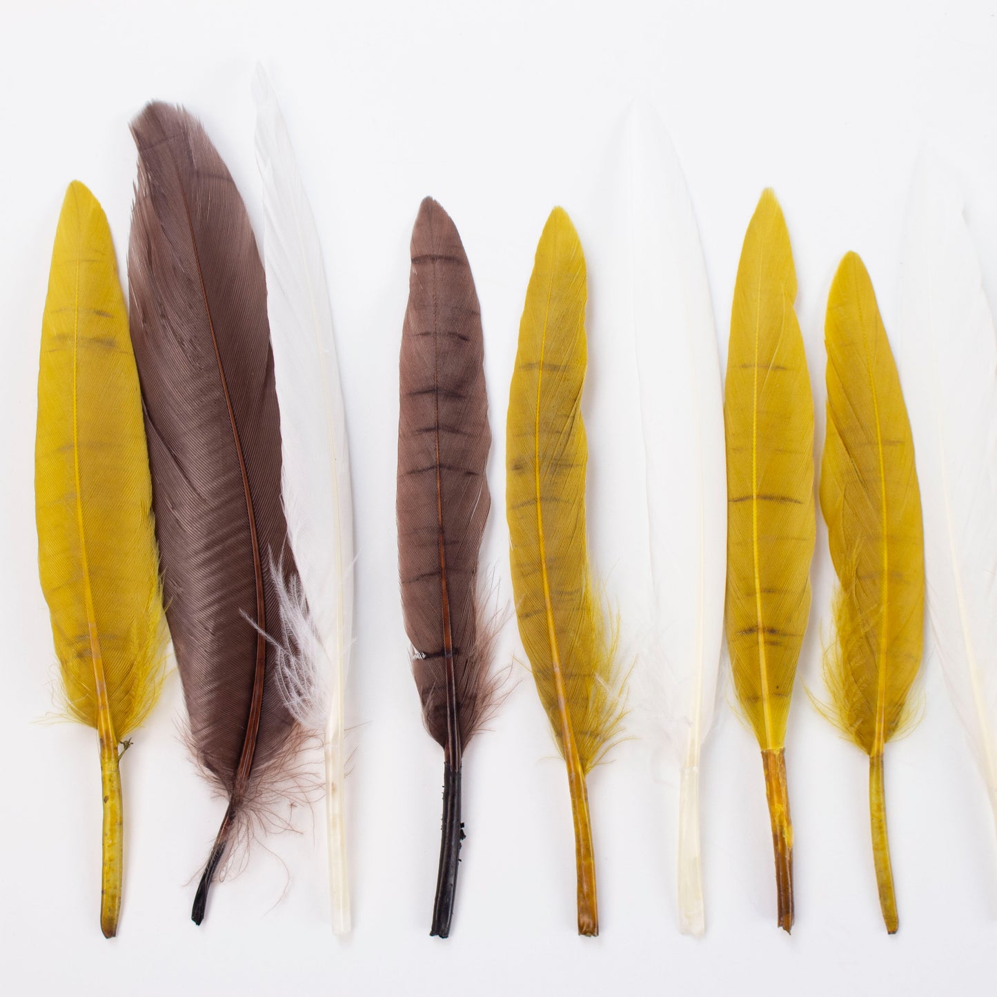 earth tone duck feathers