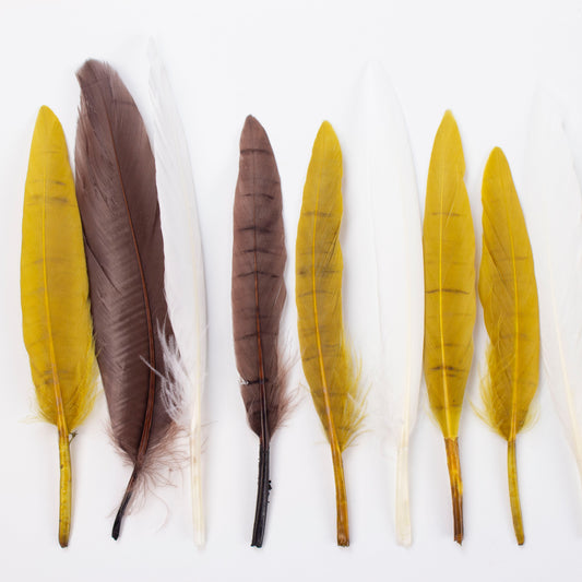 earth tone duck feathers