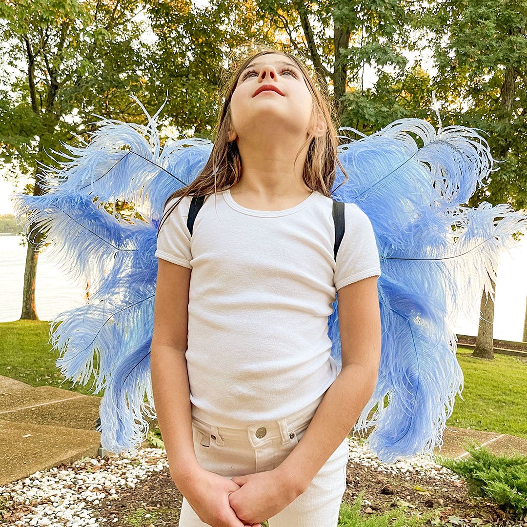 Extra Small Bluebird Costume Wings - Feathers