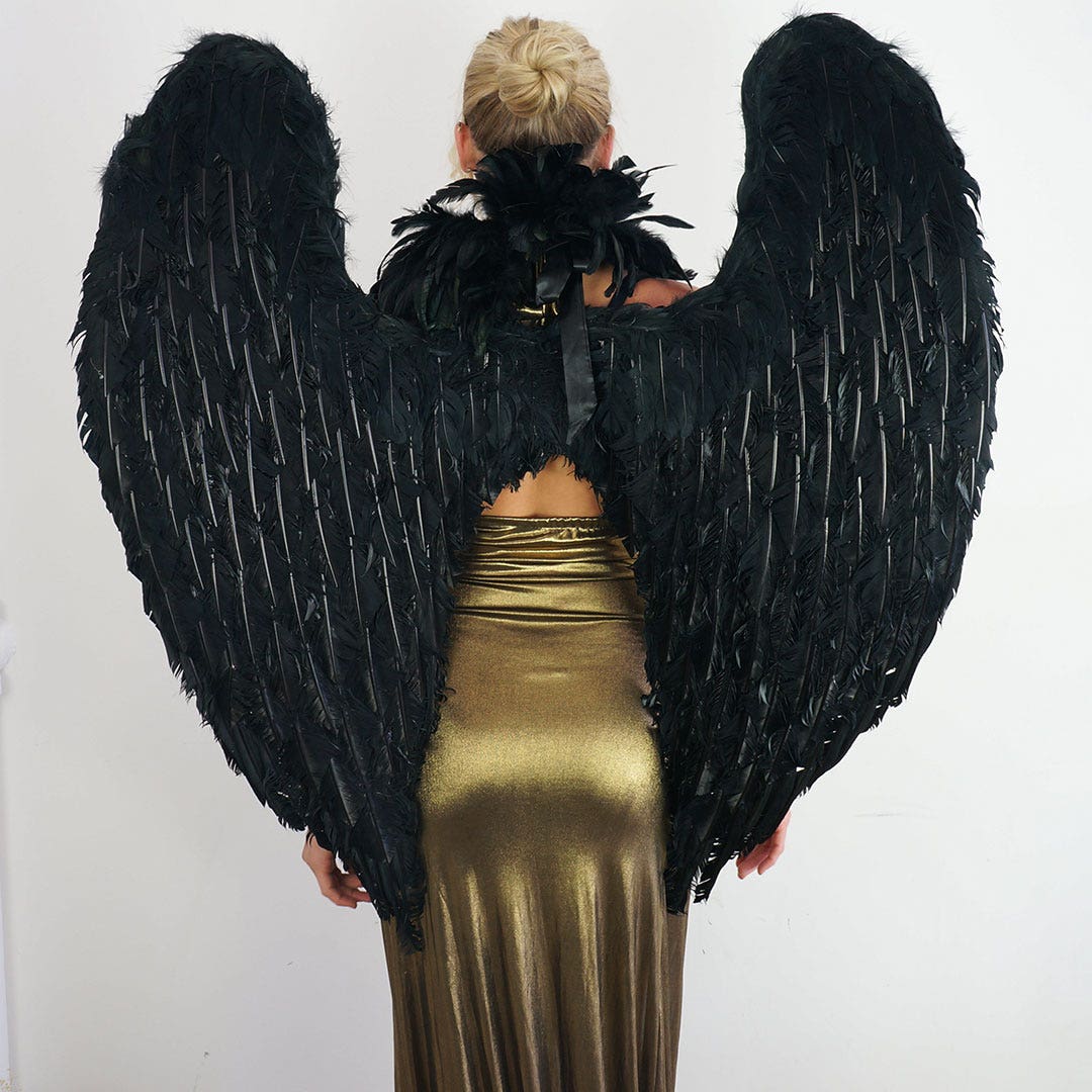 Black Fallen Angel Wings A Pair Of Dark, Spiky, And Detailed Angel