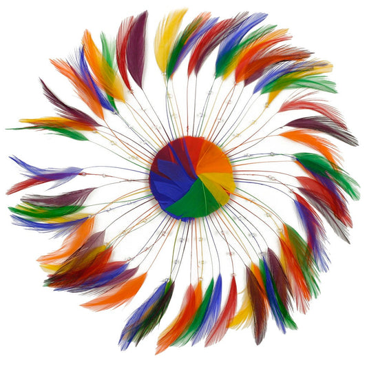 Feather Hackle Plates Multi Colors - Rainbow Mix - Feathers