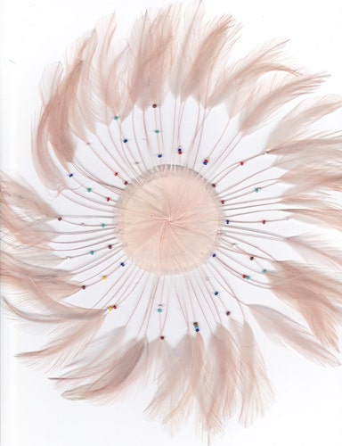 Feather Hackle Plates Solid Colors - Shrimp - Feathers