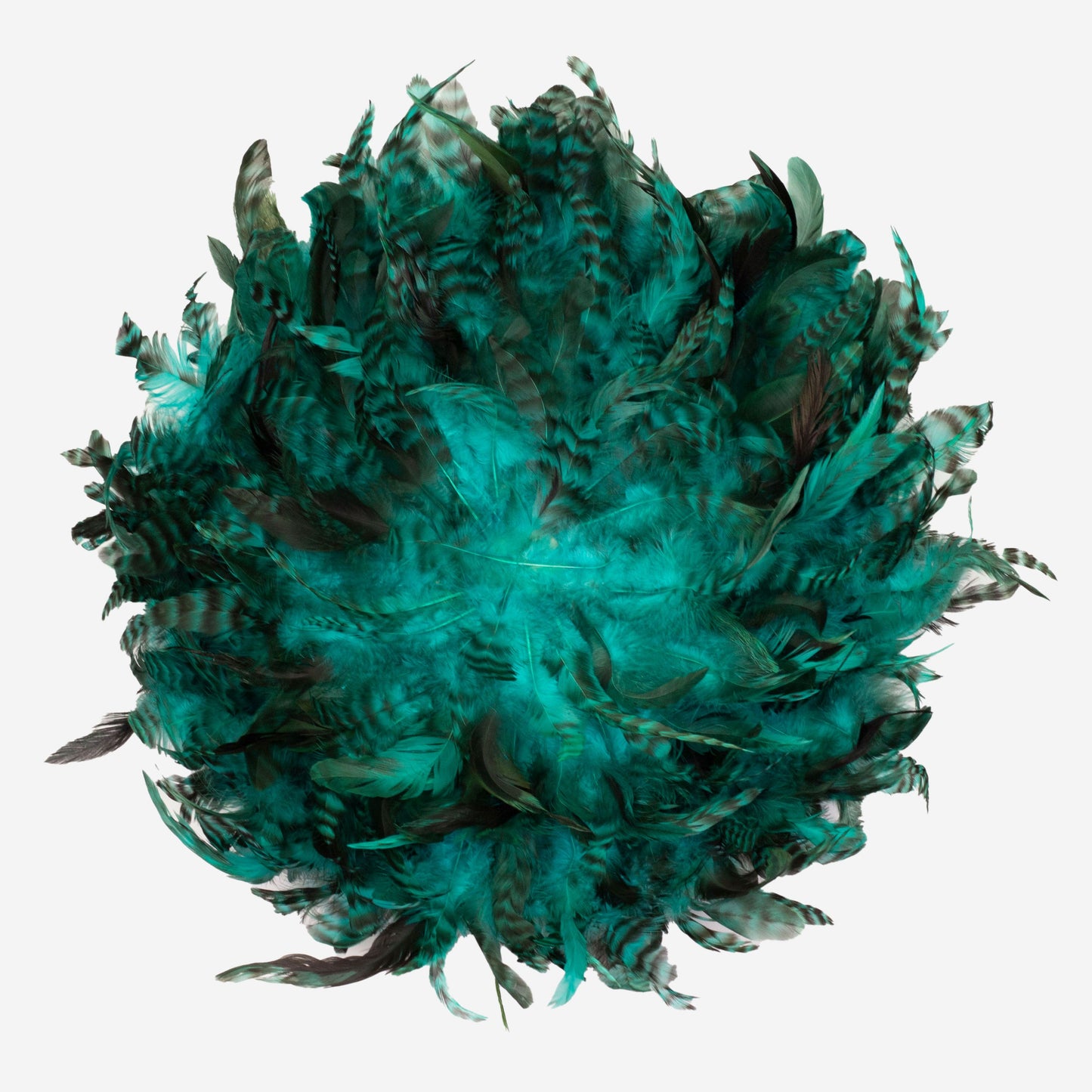 Feather Juju Hat Wall Art - Aquamarine - Feathers