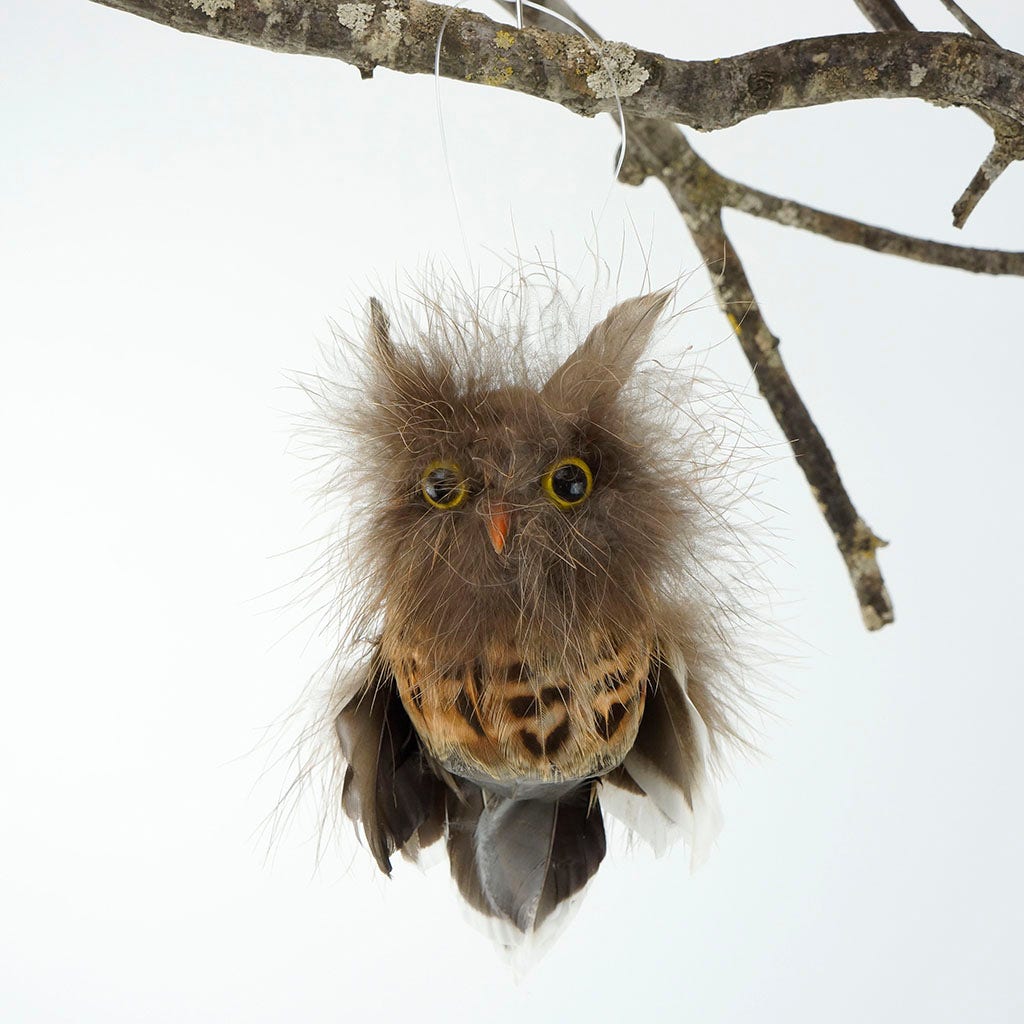 Feather Owl Ornament - Natural - Feathers