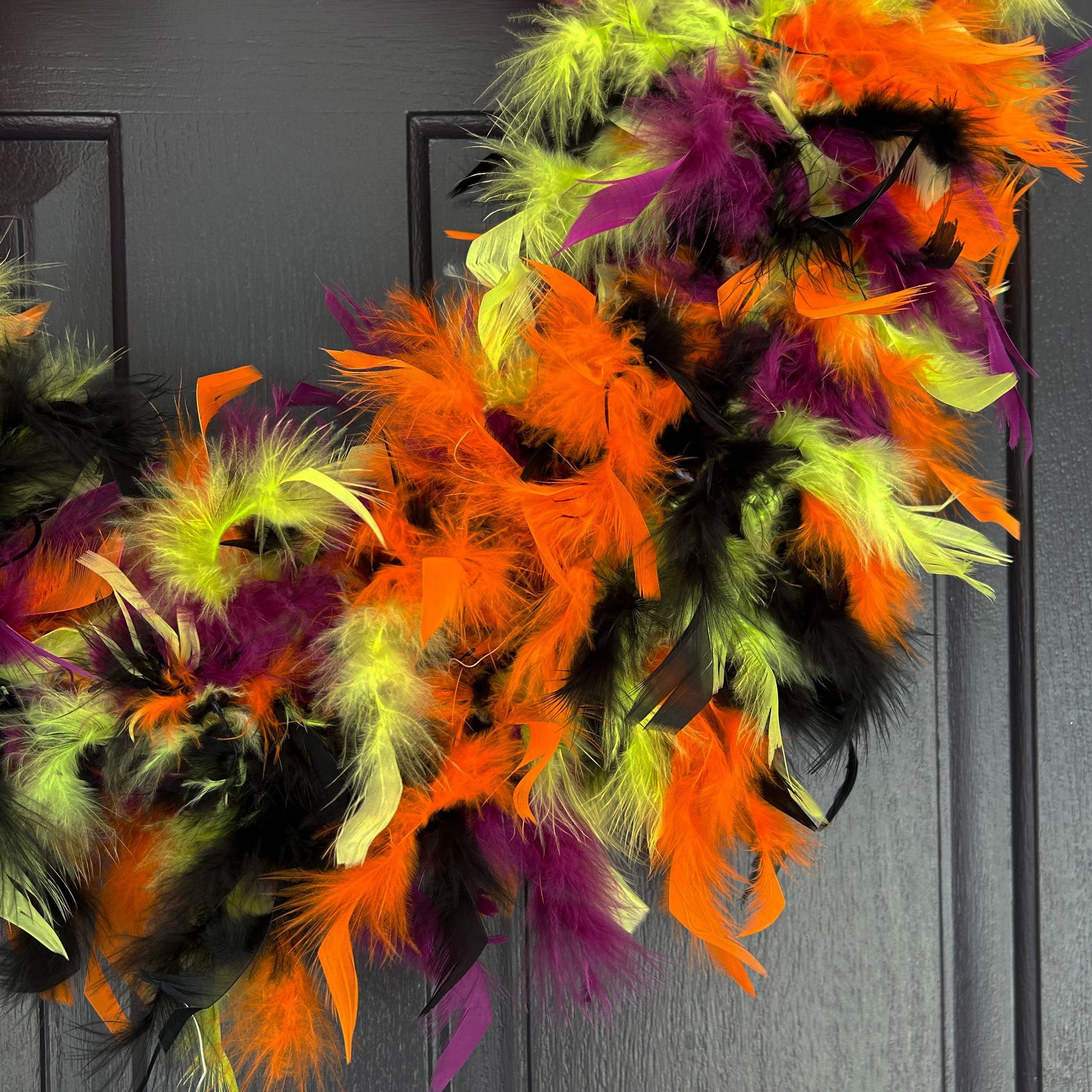 Feather Wreath-Black/Lime/Orange/Purple - Chandelle Wreath