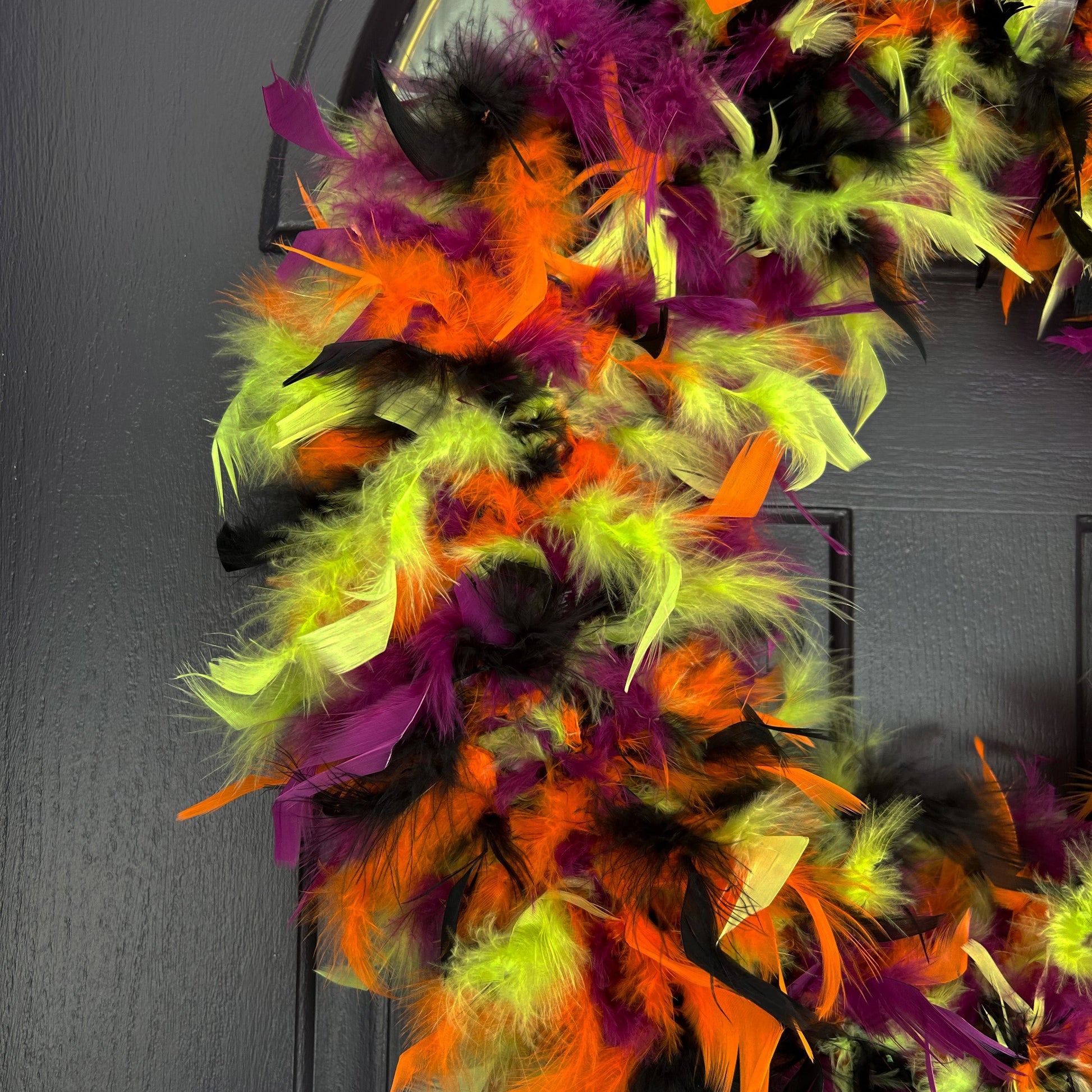 Feather Wreath-Black/Lime/Orange/Purple - Chandelle Wreath