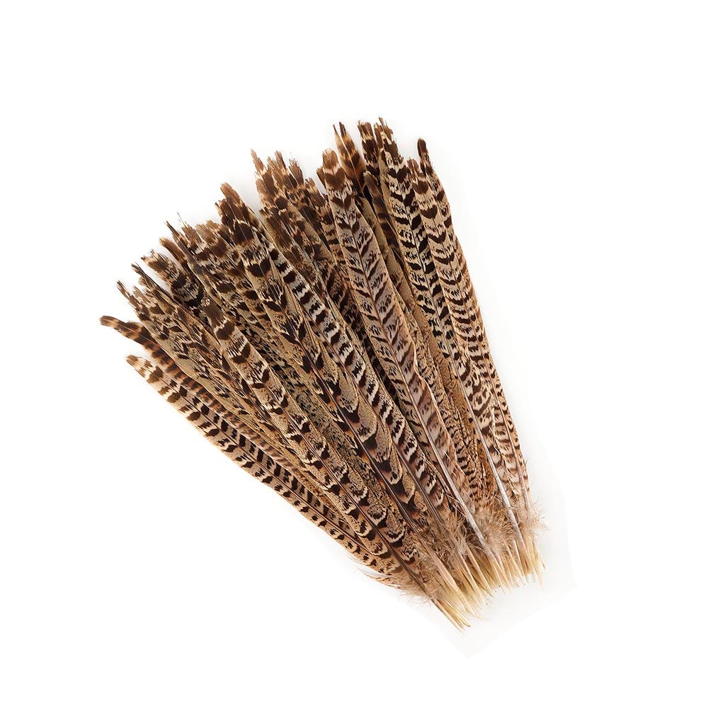 Female Ringneck Pheasant Tails - Natural -10 - 12’’ - Feathers